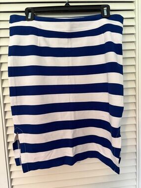Blue and White Striped Knit Skirt